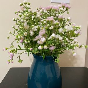 Meet your Posher, Thi